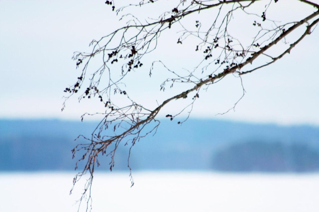 Niemilomat Varkaus